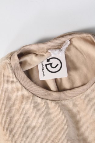 Damen Shirt In April 1986, Größe S, Farbe Beige, Preis 9,99 €