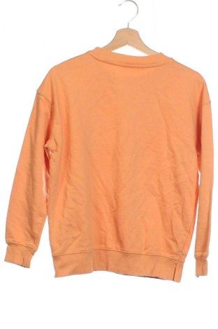 Damen Shirt Mango, Größe XS, Farbe Orange, Preis € 8,99