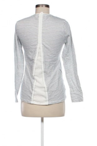 Damen Shirt Staccato, Größe L, Farbe Mehrfarbig, Preis € 8,99