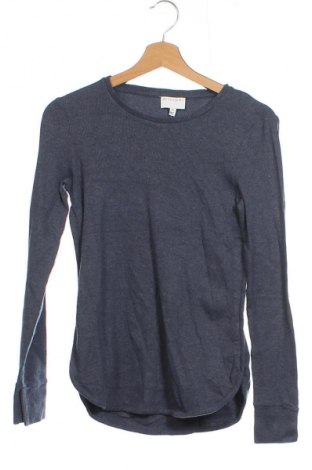 Damen Shirt Witchery, Größe XS, Farbe Blau, Preis € 33,99