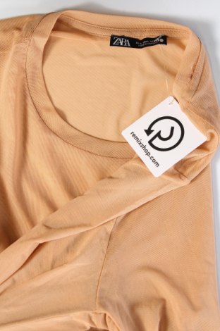 Damen Shirt Zara, Größe L, Farbe Beige, Preis 18,99 €