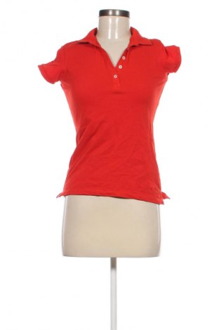 Damen T-Shirt Piazza Italia, Größe S, Farbe Rot, Preis 6,99 €