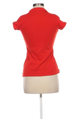 Damen T-Shirt Piazza Italia, Größe S, Farbe Rot, Preis 6,99 €