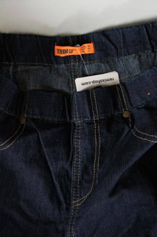 Dámske džínsy  Denim Co., Veľkosť L, Farba Modrá, Cena  8,95 €