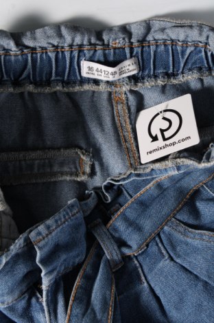 Γυναικείο Τζίν Denim Co., Μέγεθος XL, Χρώμα Μπλέ, Τιμή 23,02 €