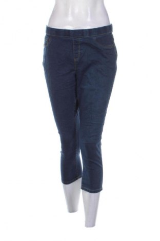 Damen Jeans The 1964 Denim Company, Größe M, Farbe Blau, Preis 20,49 €