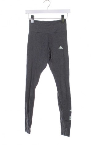 Damen Leggings Adidas, Größe XS, Farbe Grau, Preis 23,99 €