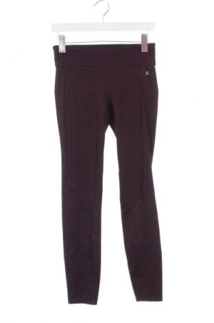 Damen Leggings Essentials by Tchibo, Größe S, Farbe Lila, Preis € 18,49