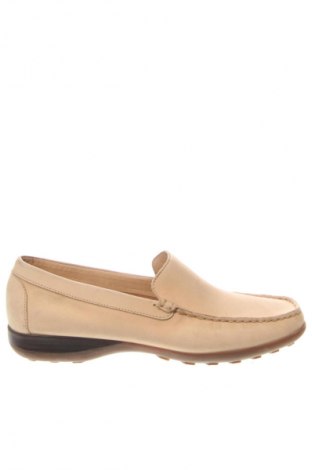 Damenschuhe Daniel Hechter, Größe 37, Farbe Beige, Preis € 47,49