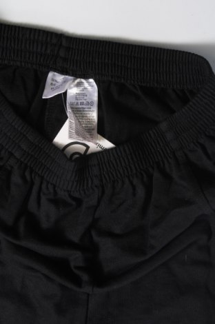 Damenhose, Größe L, Farbe Schwarz, Preis € 10,49