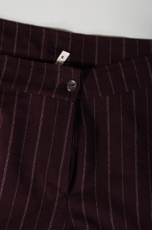 Damenhose, Größe L, Farbe Lila, Preis € 9,49