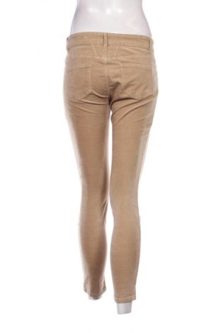 Damenhose Closed, Größe S, Farbe Beige, Preis 52,99 €