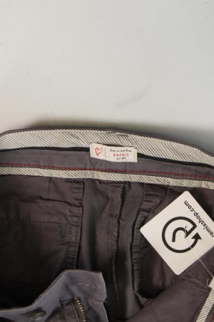 Damenhose Esprit, Größe XXS, Farbe Grau, Preis € 11,99