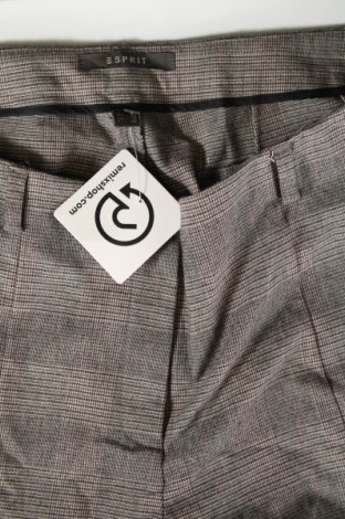 Damenhose Esprit, Größe L, Farbe Mehrfarbig, Preis 28,99 €