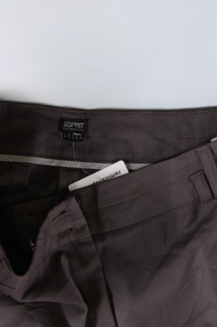 Damenhose Esprit, Größe M, Farbe Braun, Preis € 13,49