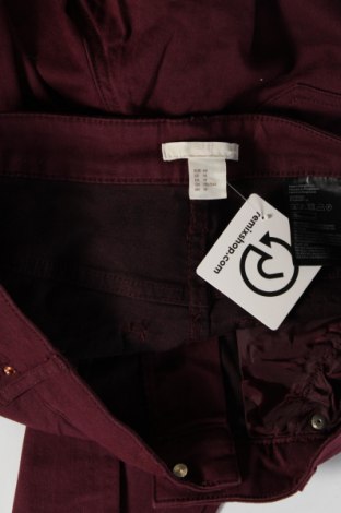 Damenhose H&M, Größe XL, Farbe Rot, Preis 10,49 €