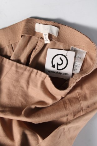 Damenhose H&M, Größe XL, Farbe Beige, Preis € 8,99