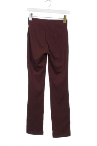 Damenhose Terranova, Größe XS, Farbe Braun, Preis 20,49 €