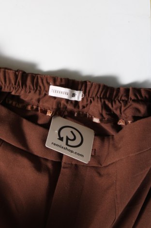 Damenhose Terranova, Größe S, Farbe Braun, Preis 14,83 €