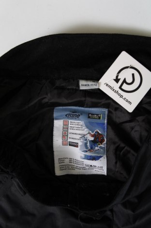 Damenhose für Wintersport Crane, Größe M, Farbe Schwarz, Preis 40,49 €