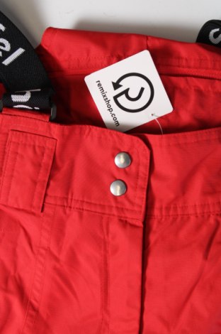 Damenhose für Wintersport Schoffel, Größe S, Farbe Rot, Preis 75,99 €