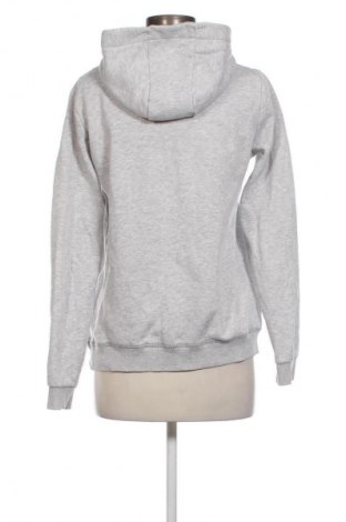 Damen Sweatshirt Esmara, Größe L, Farbe Grau, Preis € 9,99