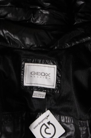 Damenjacke Geox, Größe M, Farbe Schwarz, Preis € 59,35