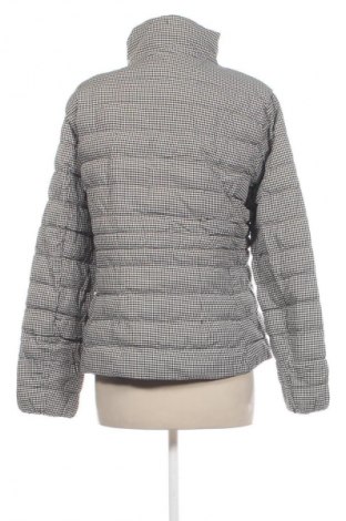 Damenjacke Massimo Dutti, Größe L, Farbe Mehrfarbig, Preis 27,99 €