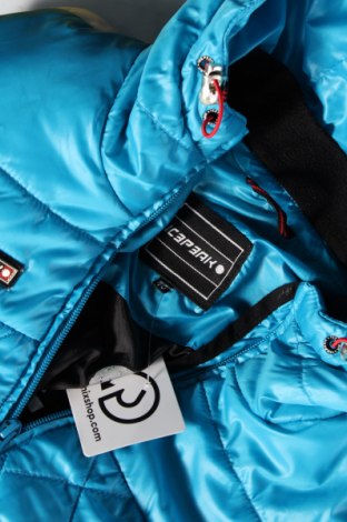 Damenjacke für Wintersports Icepeak, Größe M, Farbe Blau, Preis € 77,24