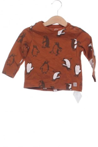 Kinder Shirt Coolclub, Größe 12-18m/ 80-86 cm, Farbe Braun, Preis € 6,02