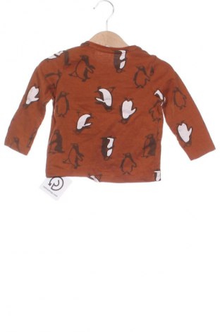 Kinder Shirt Coolclub, Größe 12-18m/ 80-86 cm, Farbe Braun, Preis € 6,02