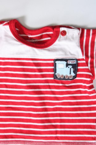 Kinder Shirt Liegelind, Größe 1-2m/ 50-56 cm, Farbe Mehrfarbig, Preis 3,99 €