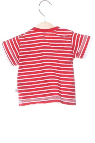 Kinder Shirt Liegelind, Größe 1-2m/ 50-56 cm, Farbe Mehrfarbig, Preis 3,99 €