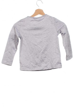 Kinder Shirt Lupilu, Größe 4-5y/ 110-116 cm, Farbe Grau, Preis € 15,99