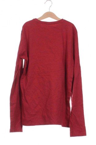 Kinder Shirt S.Oliver, Größe 15-18y/ 170-176 cm, Farbe Rot, Preis 16,49 €