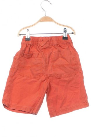 Kinder Shorts Next, Größe 4-5y/ 110-116 cm, Farbe Orange, Preis 1,99 €