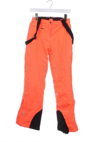 Dětské kalhoty pro zimní sporty  Icepeak, Velikost 12-13y/ 158-164 cm, Barva Oranžová, Cena  1 249,00 Kč