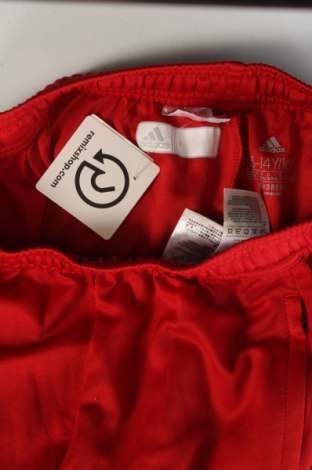 Kinder Sporthose Adidas, Größe 12-13y/ 158-164 cm, Farbe Rot, Preis € 20,49