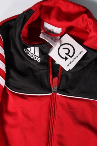 Herren Sportoberteil Adidas, Größe XL, Farbe Mehrfarbig, Preis € 30,99