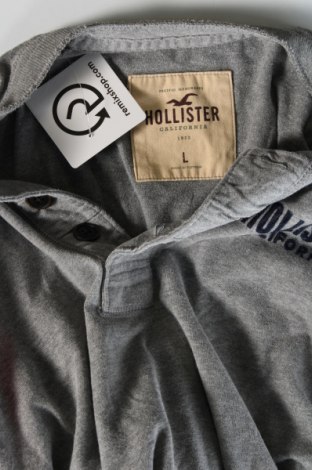 Herren Shirt Hollister, Größe L, Farbe Grau, Preis € 10,99