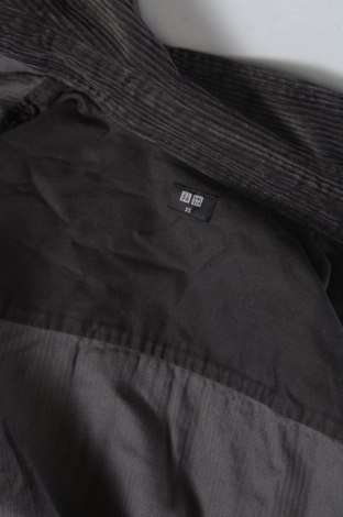 Herrenhemd Uniqlo, Größe XS, Farbe Grau, Preis 10,99 €