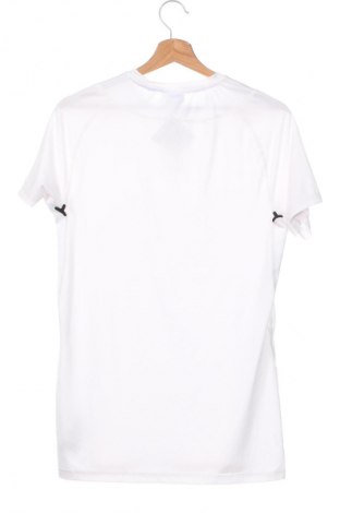 Herren T-Shirt MP, Größe XS, Farbe Weiß, Preis € 6,99