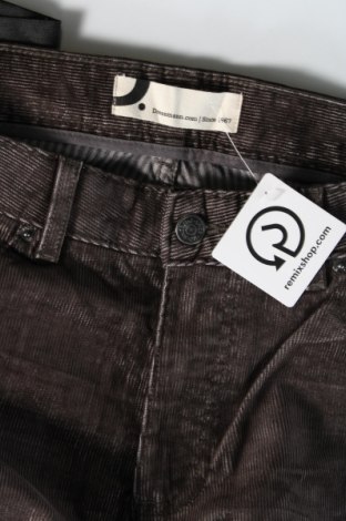 Herren Cordhose Dressmann, Größe L, Farbe Mehrfarbig, Preis € 17,49