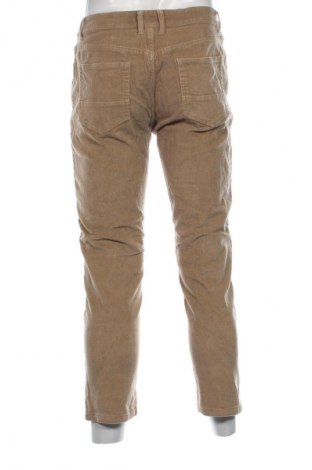 Herren Cordhose Watson's, Größe M, Farbe Beige, Preis € 6,99