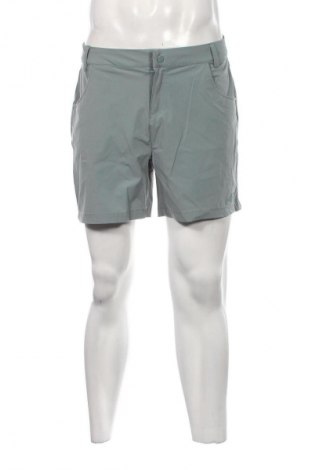 Herren Shorts 4F, Größe L, Farbe Grün, Preis 10,23 €