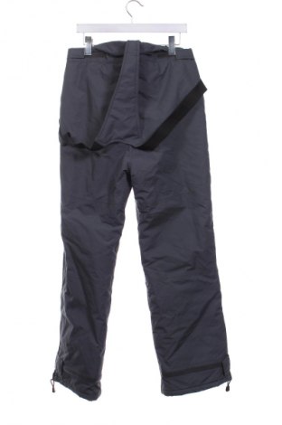 Herrenhose für Wintersport Crane, Größe L, Farbe Grau, Preis 88,99 €