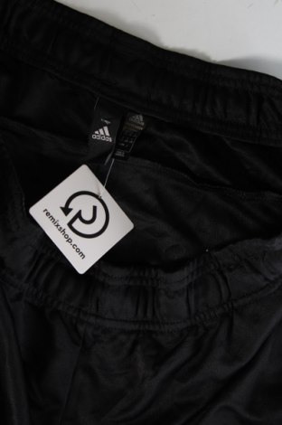 Herren Sporthose Adidas, Größe L, Farbe Schwarz, Preis 33,99 €