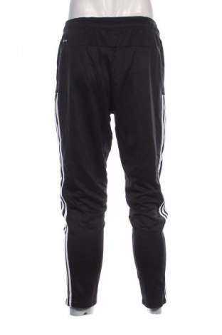 Herren Sporthose Adidas, Größe L, Farbe Schwarz, Preis 33,99 €