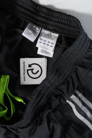 Pánské tepláky  Adidas, Velikost XS, Barva Šedá, Cena  629,00 Kč