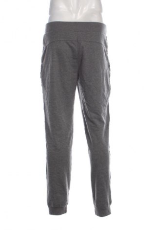 Herren Sporthose Esprit, Größe XL, Farbe Grau, Preis 12,99 €